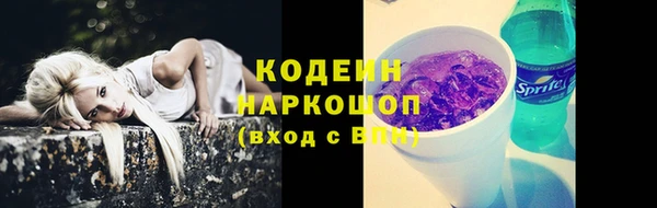 хмурый Мегион