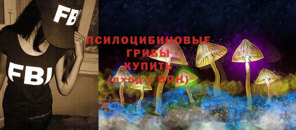 хмурый Мегион