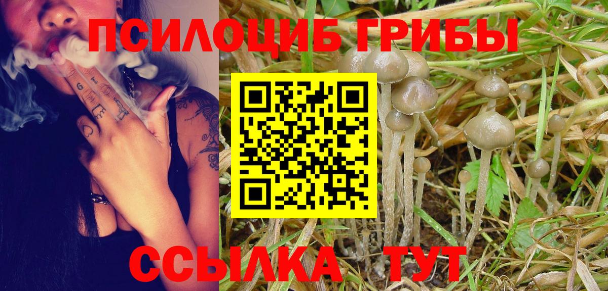 Галлюциногенные грибы Cubensis  купить наркоту  Киреевск  Вход с VPN 