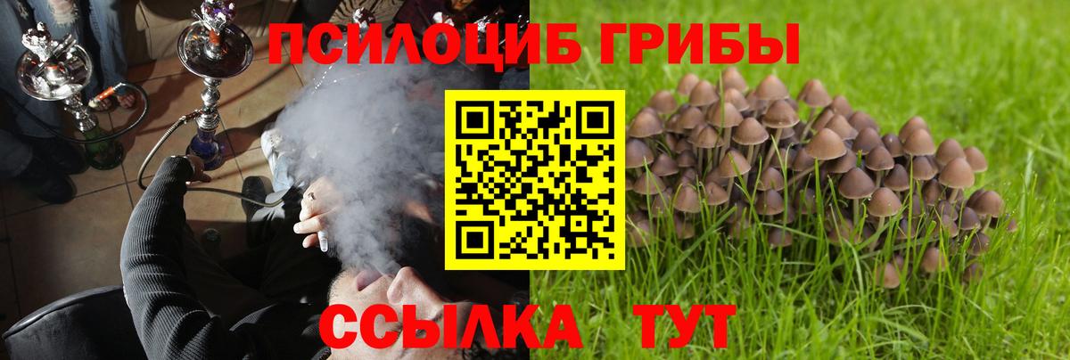 Галлюциногенные грибы Cubensis Киреевск